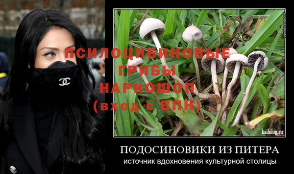 кокс Баксан