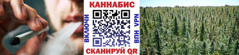 купить   Шиханы  Шишки марихуана THC 21% 